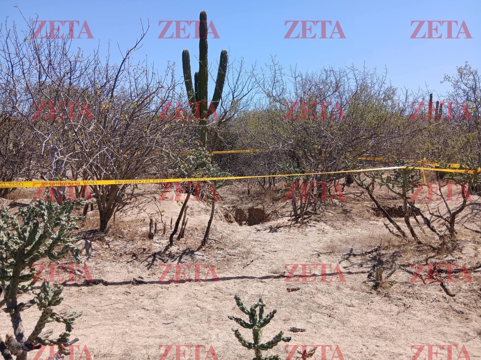 Bloquean aeropuerto de Los Cabos tras hallazgo de cuatro fosas clandestinas en La Paz