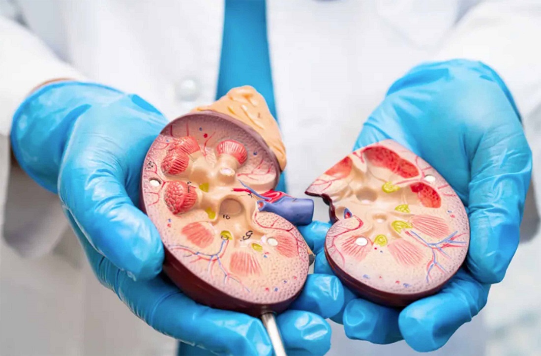 Sarampión registra casi 7 mil casos en 2026; alertan sobre obesidad y riesgos renales en México