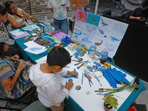 Proyectan que en 2034 habrá más adultos mayores que niños en México; IMSS impulsa estrategia de salud mental