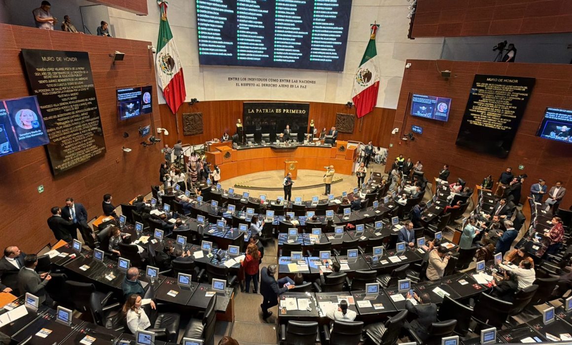 Rechazan Verde y PT a Andrea Chávez; respaldan a Cruz Pérez Cuéllar para la candidatura en Chihuahua